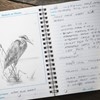 Afbeeldingen van Birders journal